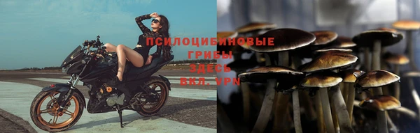 мдпв Зеленодольск