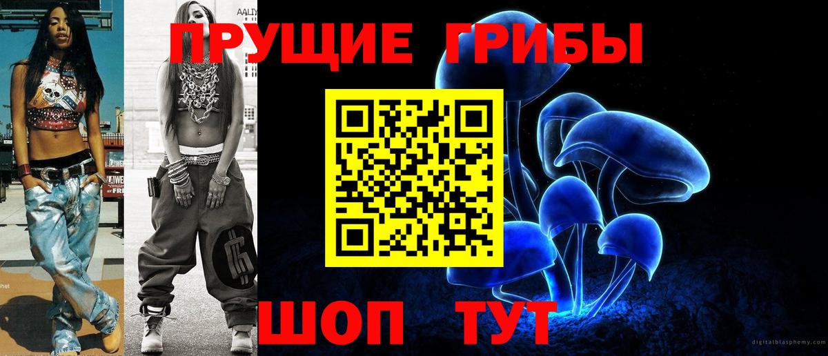 Псилоцибиновые грибы Cubensis Зеленокумск